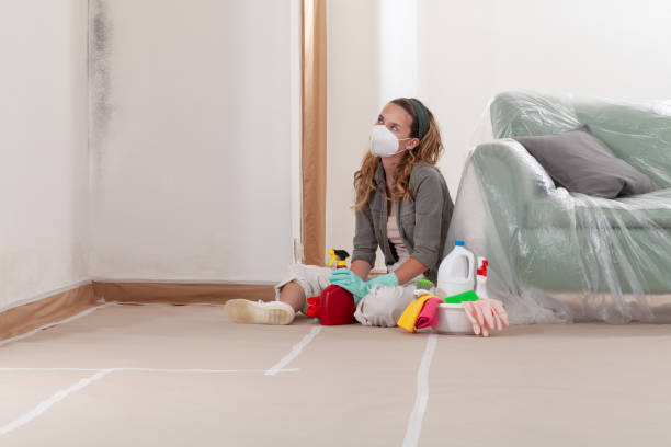 Reliable Mold Remediation contractor in Rockford, IL by WQB Mold Removal